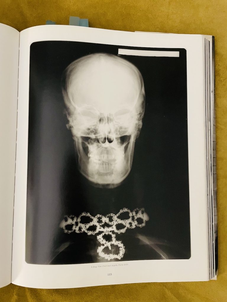 Helmut Newton, the x-rays series, anii '80