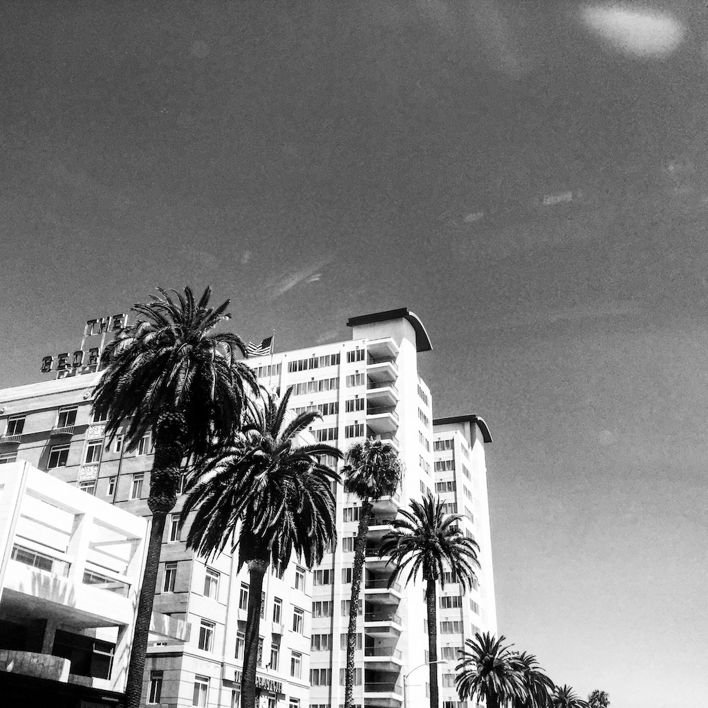 Los Angeles palms